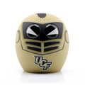 Central Florida Knights