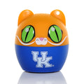 Kentucky Wildcats