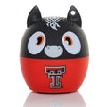 Texas Tech Red Raiders