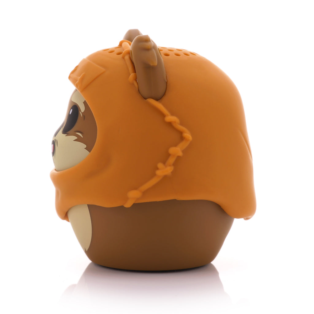 Wicket